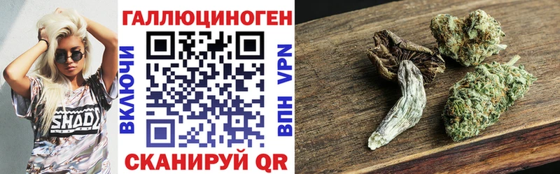 где найти   Аркадак  Псилоцибиновые грибы ЛСД 